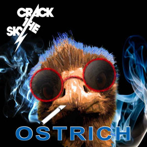 ostrichcrackthesky