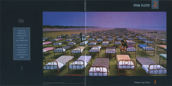 pink floyd momentary lapse of reason