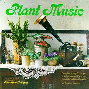 plantmusicbaroquebouquet