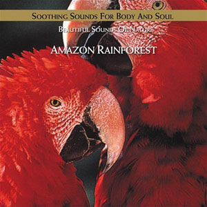 rainforest amazon soothing sounds