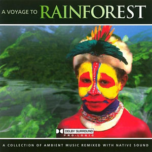 rainforest voyage ambient music sound