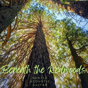 redwoodsbeneathgentle