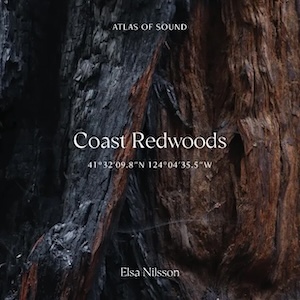 redwoodscoastelsanilsson