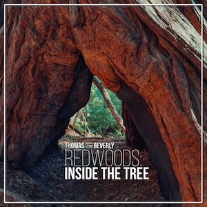 redwoodsinsidethetreethomas
