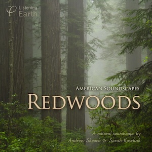 redwoodssoundscapesskeoch