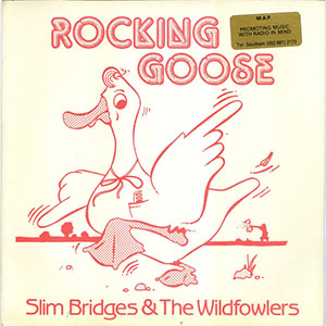 rockinggooseslimbridges
