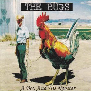 rooster and boy the bugs