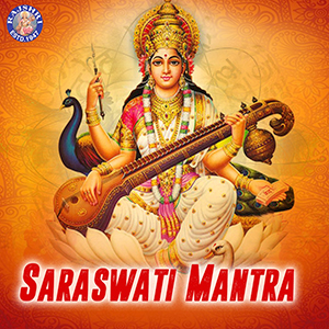 saraswariveenaketanpatwardhan