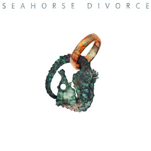 seahorse divorce