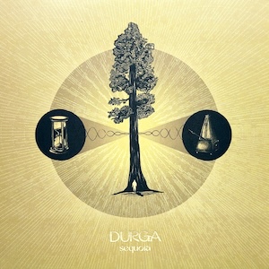 sequoiadurga