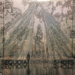 sequoiashots