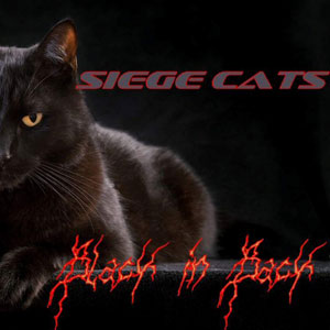 siegecatsblackinback