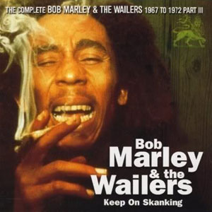smoke reggae bob marley keep skanking
