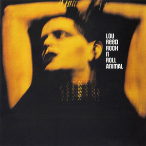 soft focus lou reed rock roll animal