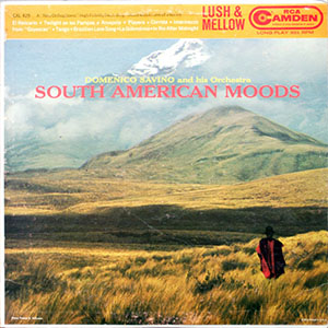 southamericanmoodssavino
