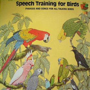 speech training for birds