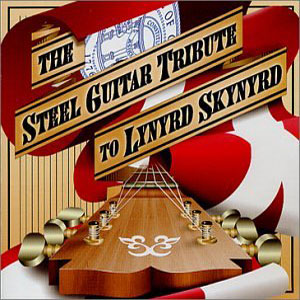 steel guitar tribute to skynyrd