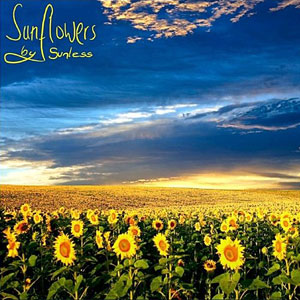 sunflowers by sunless