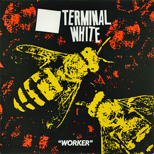 terminalwhiteworkerbee