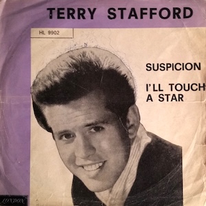 terrystaffordsuspicion