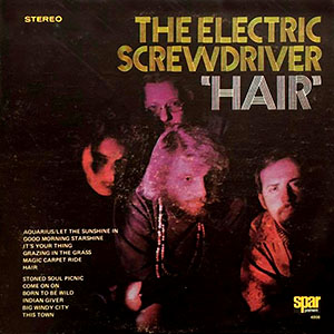 theelectricscrewdriverhair