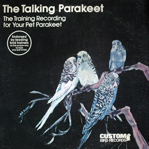 the talking parakeet custom