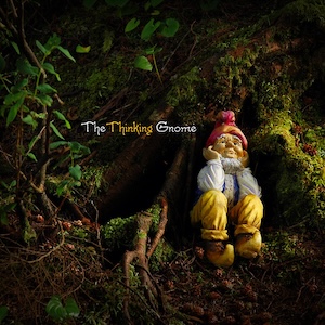 thethinkinggnome