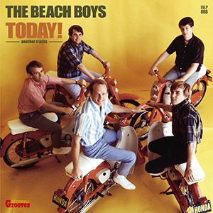 todaythebeachboysjapan