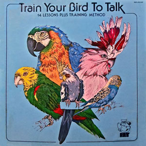 train your bird to talk pet