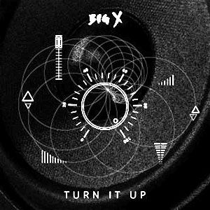 turnitupbigx