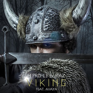 vikinghiprofilerazavaya