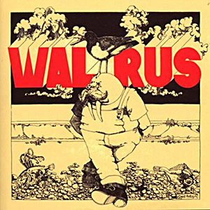 walrusbywalrus