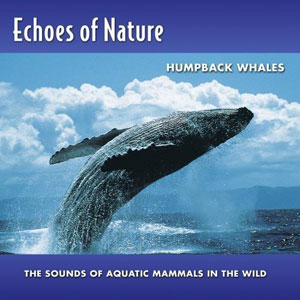 whales echoes of nature