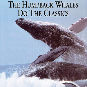 whales humpbacks do the classics