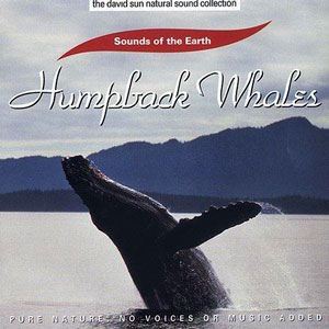 whales humpback sounds of the earth