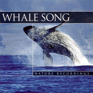 whale song nature recordings
