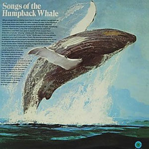 whale songs of the humpback