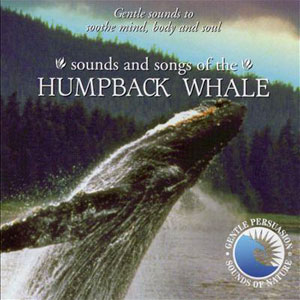 whales sounds and songs