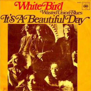 whitebirditsabeautifulday