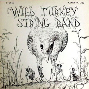 wild turkey string band