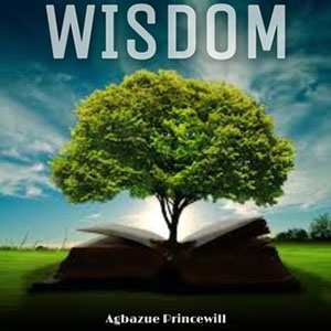 wisdomaghazueprincewill