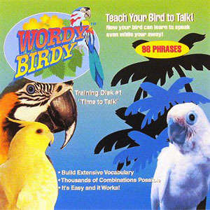 wordy birdy teach to talk