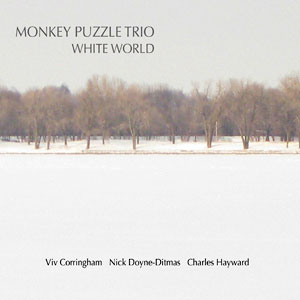 world white monkey puzzle trio