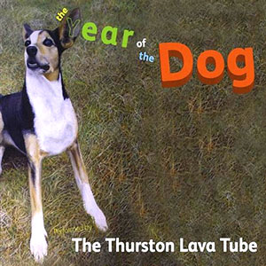 yearofthedogthurstonlavatube2030