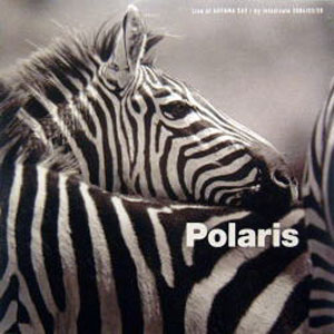zebra polaris live